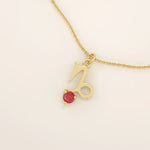 14k solid gold Capricorn symbol pendant necklace featuring a deep red garnet birthstone. A meaningful zodiac necklace perfect for personalized gifting.