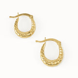 Twisted U Shape Hoop Earrings