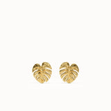 Palm Leaf Stud Earrings