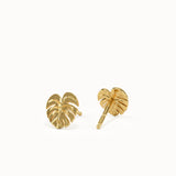 Palm Leaf Stud Earrings