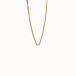 Box Chain Necklace in 14k Gold - BRENNMORE 