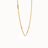 Box Chain Necklace in 14k Gold