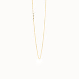 Rolo Chain Necklace in 14k Gold