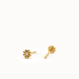 Daisy Stud Earrings My Store