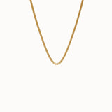 Curb Chain Necklace in 14k Gold