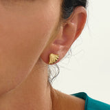 Shell Stud Earrings