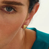Shell Stud Earrings