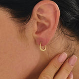 Twisted U Shape Hoop Earrings