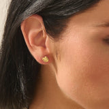 Palm Leaf Stud Earrings